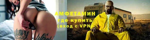 сатива Коряжма